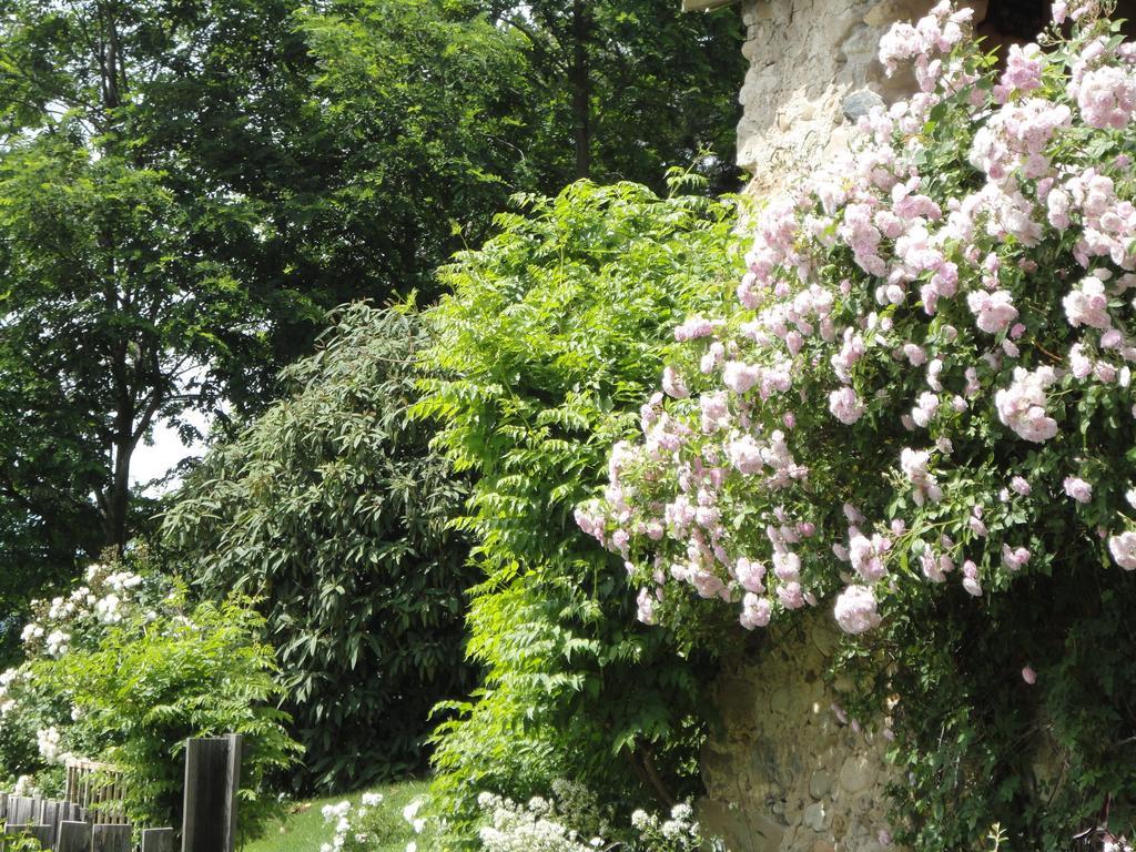 فيلا Un Gite De Charme En Haute Provence Sigoyer  الغرفة الصورة