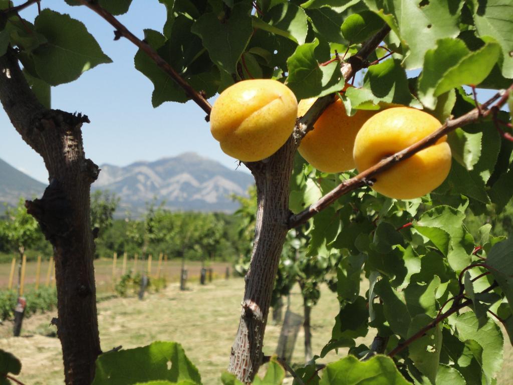 فيلا Un Gite De Charme En Haute Provence Sigoyer  الغرفة الصورة