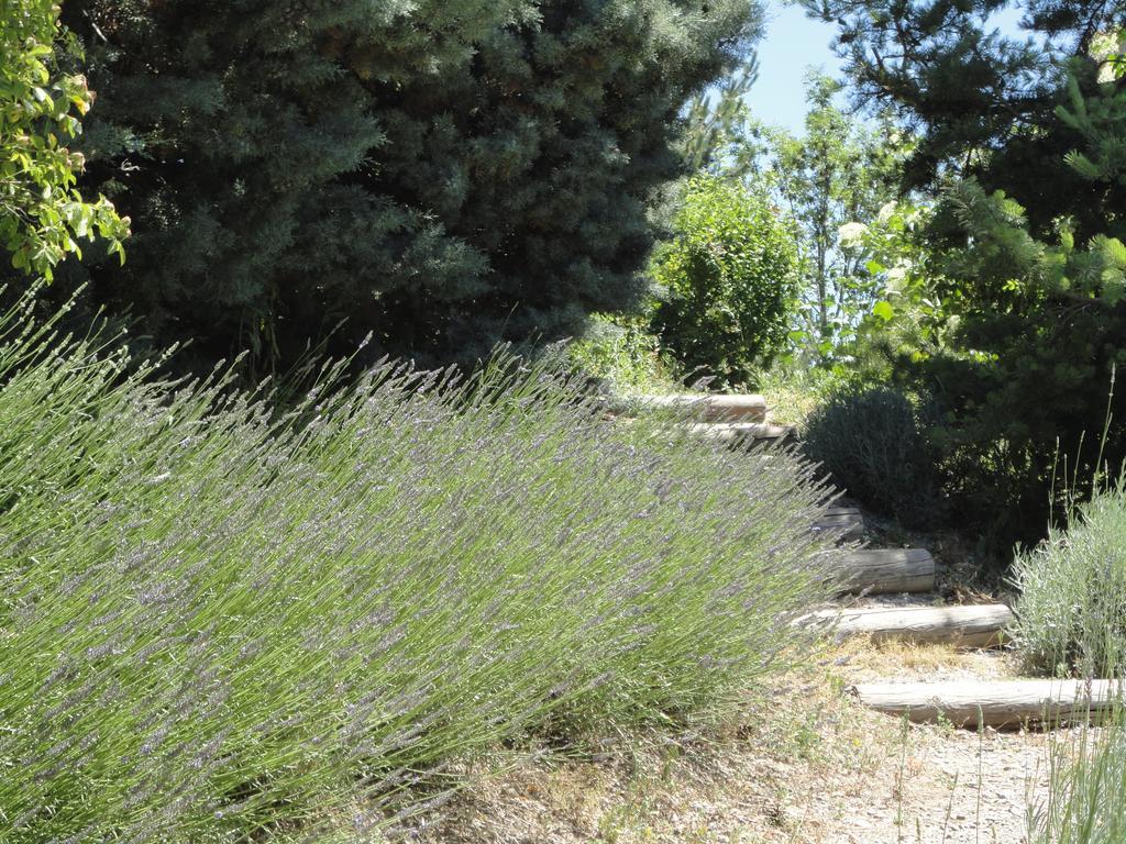 فيلا Un Gite De Charme En Haute Provence Sigoyer  الغرفة الصورة